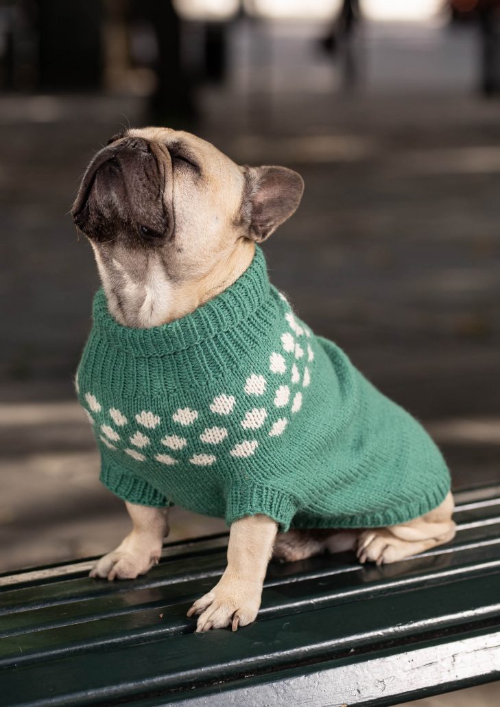 Snøballgenser til hund